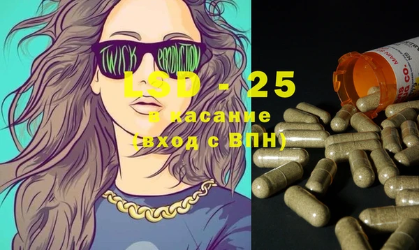 PSILOCYBIN Беломорск
