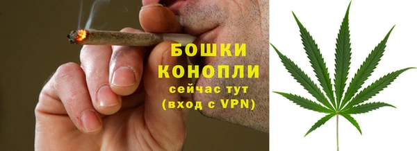 PSILOCYBIN Беломорск