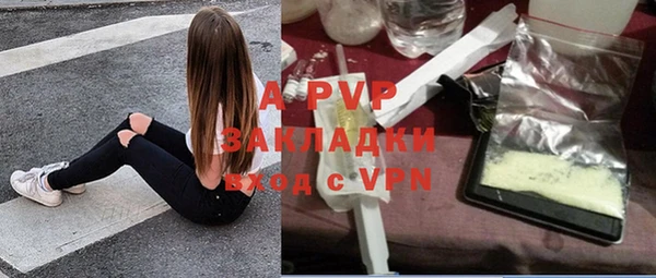 PSILOCYBIN Беломорск