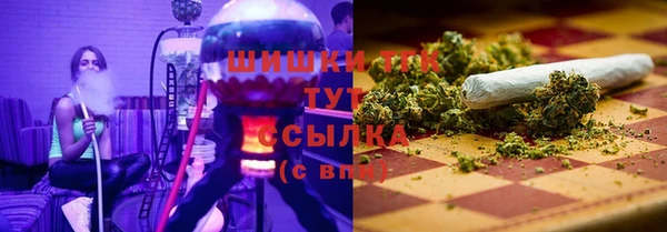 PSILOCYBIN Беломорск