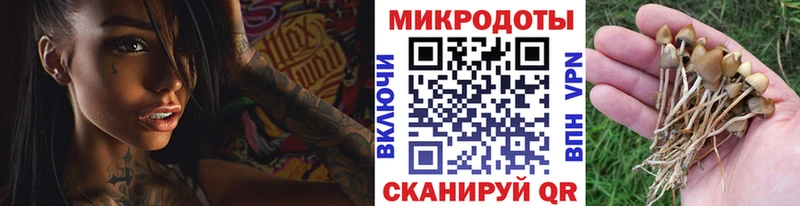 Псилоцибиновые грибы MAGIC MUSHROOMS  площадка клад  Кремёнки 